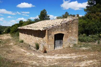 Rural/Agricultural land for sale in Calaceite, Teruel. 