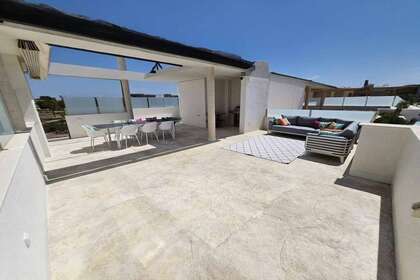 Таунхаус Продажа в Torre Pacheco, Murcia. 
