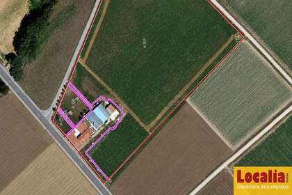 Parcela/Finca venta en Pomar de Valdivia, Palencia. 