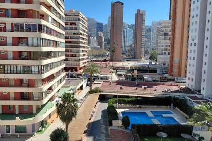 Apartment for sale in Benidorm, Alicante. 