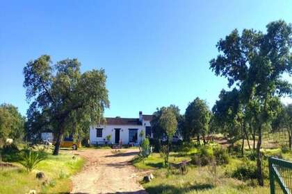 Country house for sale in El Ronquillo, La Vía de la Plata, Sevilla. 