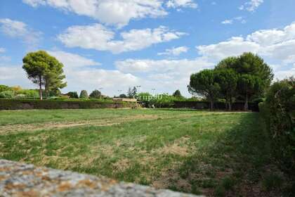 Urban plot for sale in Alpicat, Lérida (Lleida). 