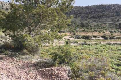 Urban plot for sale in Romana (la), Alicante. 