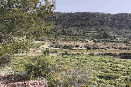 Rural/Agricultural land for sale in Romana (la), Alicante. 