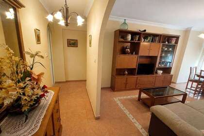 平 进入 Estepona, Málaga. 
