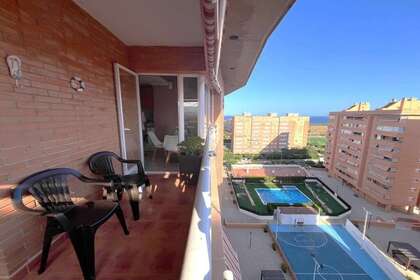 平 出售 进入 Alicante/Alacant. 