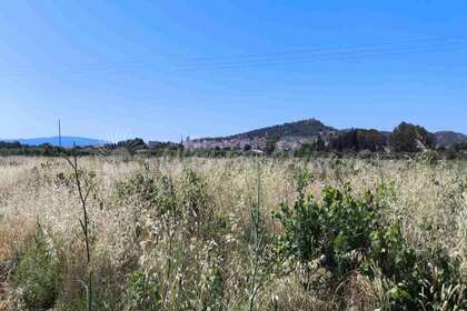 Terreno urbano venta en Yecla, Murcia. 