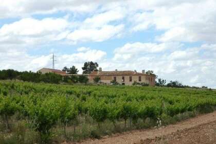 Rural/Agricultural land for sale in Almansa, Albacete. 