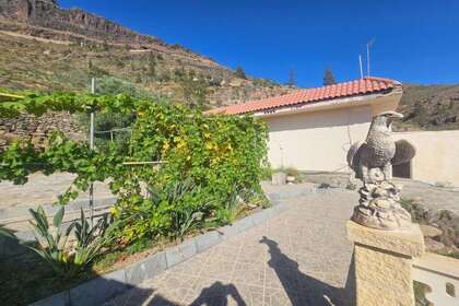 Rural/Agricultural land for sale in San Bartolomé de Tirajana, Las Palmas, Gran Canaria. 