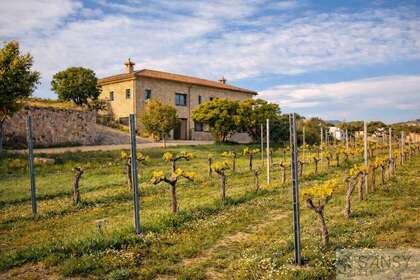 Terreno rústico/agrícola venta en Benitachell/Poble Nou de Benitatxell (el), Alicante. 