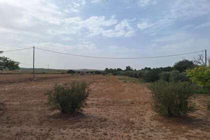 Baugrundstück zu verkaufen in Lorca, Murcia. 