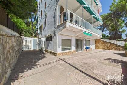 Commercial premise in Calviá / Calvià, Baleares (Illes Balears), Mallorca. 
