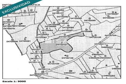 Terreno rústico/agrícola venta en Campo de Criptana, Ciudad Real. 