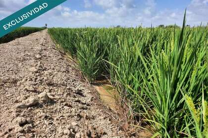 Terreno rústico/agrícola venta en Sant Jaume d´Enveja, Tarragona. 