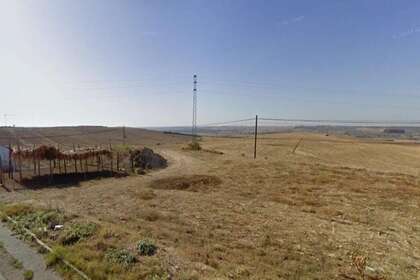 Pozemky na prodej v Escacena del Campo, Huelva. 