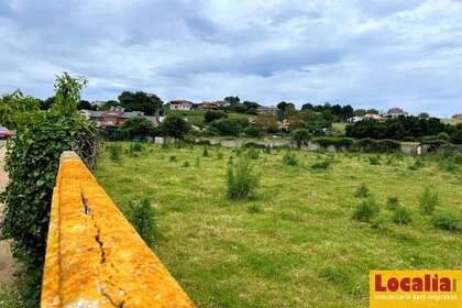 Plot in Cantabria. 