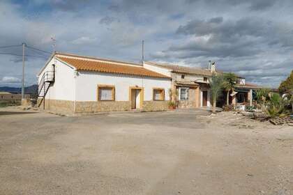 Parcela/Finca venta en Lorca, Murcia. 