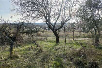 Parcela/Finca venta en Torrelaguna, Madrid. 